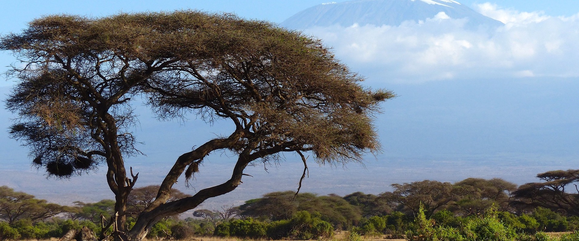 Send money to Kenya